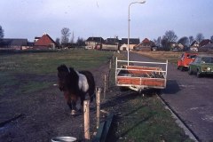 1_dia-meurs-bouwkamp-sterrekamp037