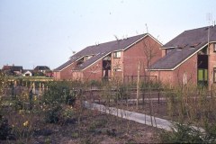 dia-meurs-bouwkamp-sterrekamp051